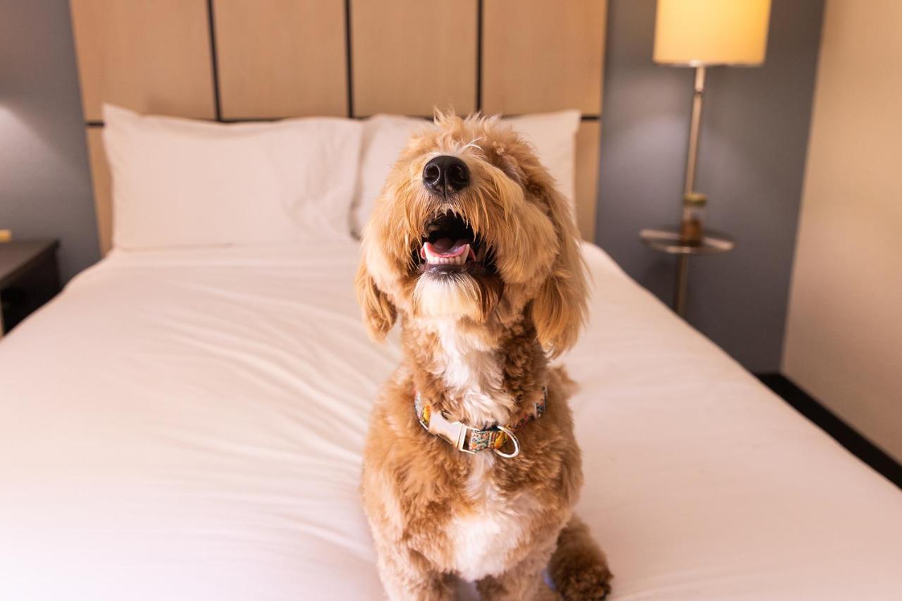 Sonesta Simply Suites Detroit Troy Zewnętrze zdjęcie