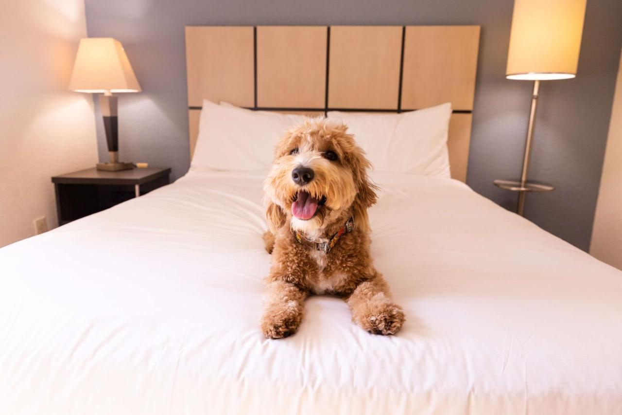 Sonesta Simply Suites Detroit Troy Zewnętrze zdjęcie